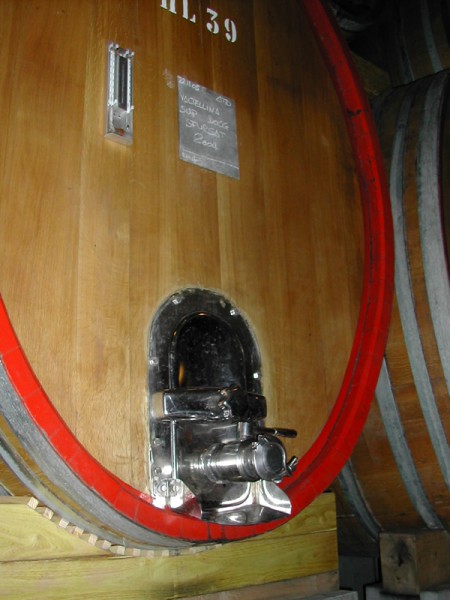 wine barrique