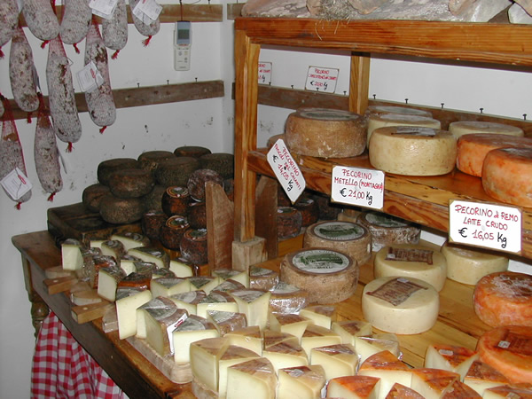 cheeses and salami,  Macelleria Falorni, Greve del Chianti, Tuscany