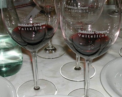 Nebbiolo Grapes - Valtellina wines