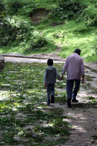 a father and son walking together holding hands, seen from the back in a peaceful park-like setting
