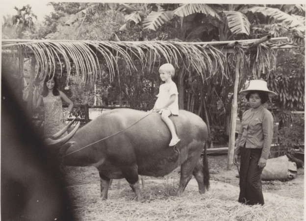 Deirdré on water buffalo at TIMland, 1968