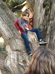 Mitchell in a tree.