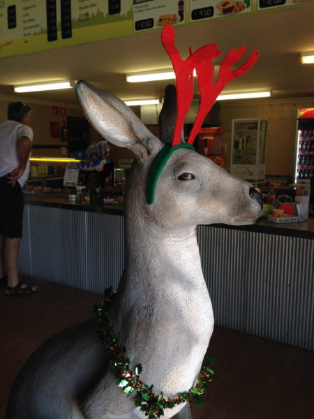 fake kangaroo with red reindeer antlers on its head and tinsel holly around its neck