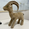 A small stuffed toy ibex with tan fur and felt horns, turned to show the Steiff button in the ear