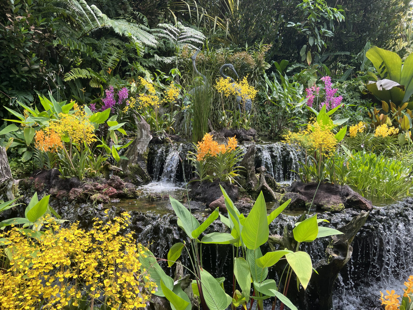 A hillside with a tiny waterfall, completely covered in orchid plants, blooming in yellow, orange, and purple