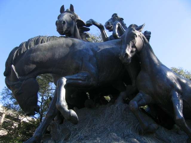 statue of mustangs on the University of Texas campus